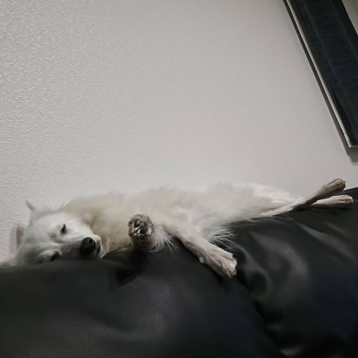 7f1225bd 0b54 4633 ab96 12c39290612c 1549722750337