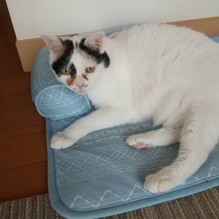 7f125118 6a41 4a6c 94e8 146983565022 1686138882793