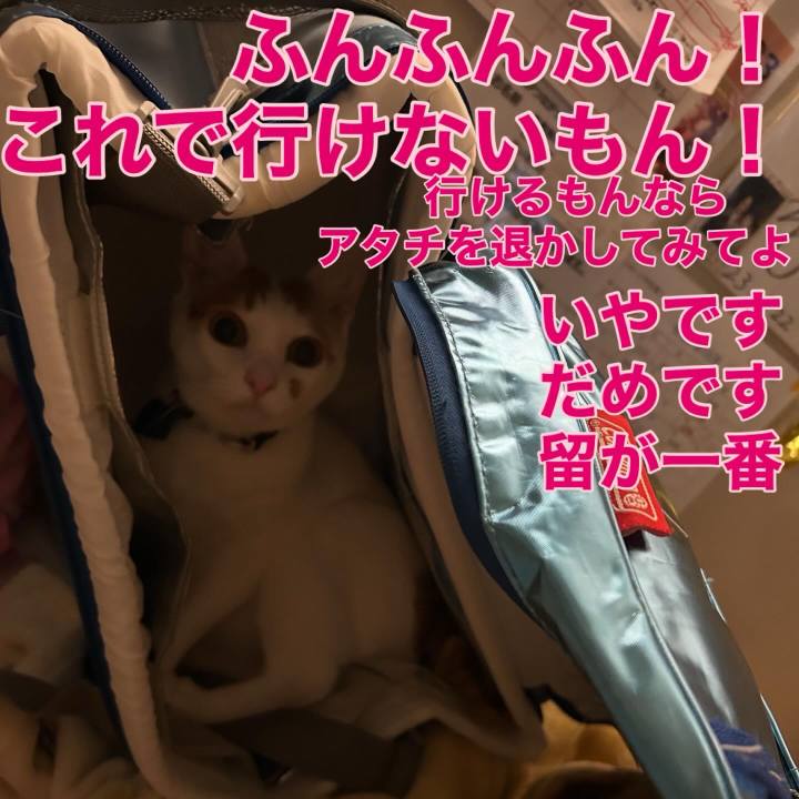 7f125136 4ede 4766 8efe d5a4785c5158 1761668186642