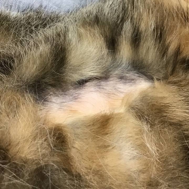 7f13343e feed 4e1c 8fe0 9469b21a2a03 1680261010567