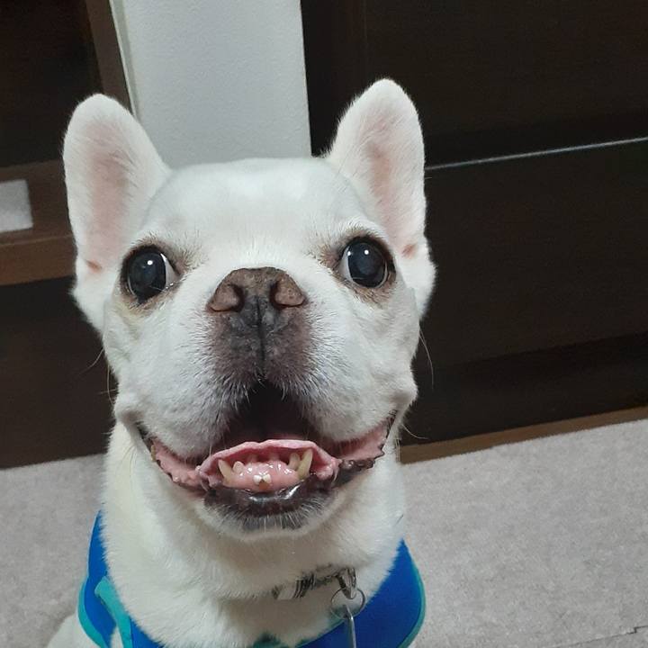 7f134b80 ac51 47f5 8126 63c680b1e0d6 1727871333477