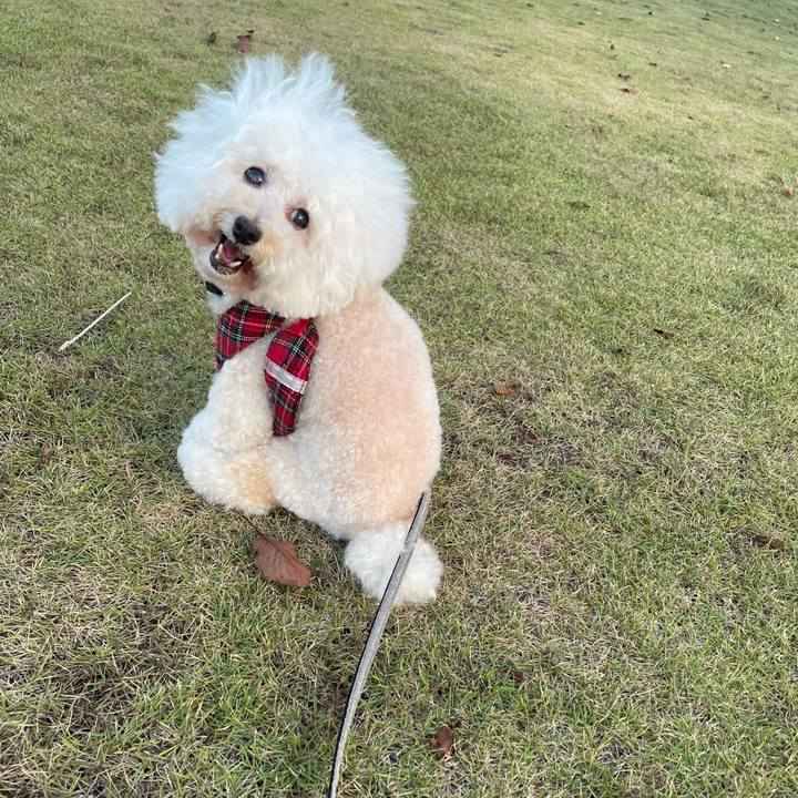 7f134da8 61bf 4c49 a103 47aeb2079bf9 1759244065016