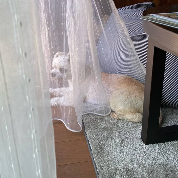 7f135ff4 4825 4e2f a4fd 5cf4e62409b4 1627208364497