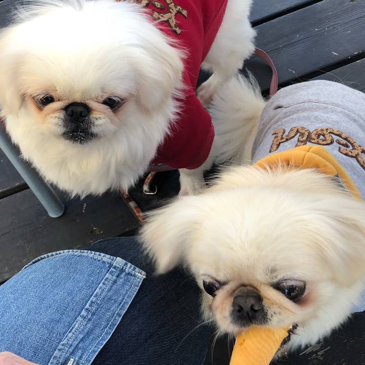 7f139bdf efcc 4f92 bb0f 9906de56dee0 1572871389768