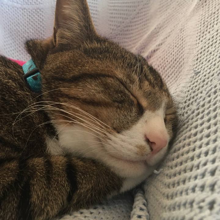 7f139eda a761 4568 ac6d f03600ebf06d 1677544387601