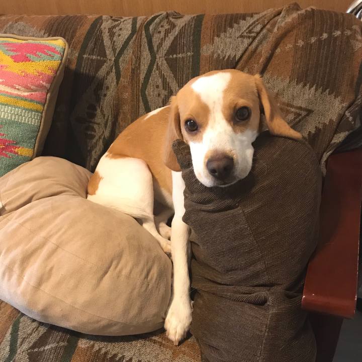 7f13a9a1 9c9e 4d7f 8ed0 66cb28895249 1566350015481