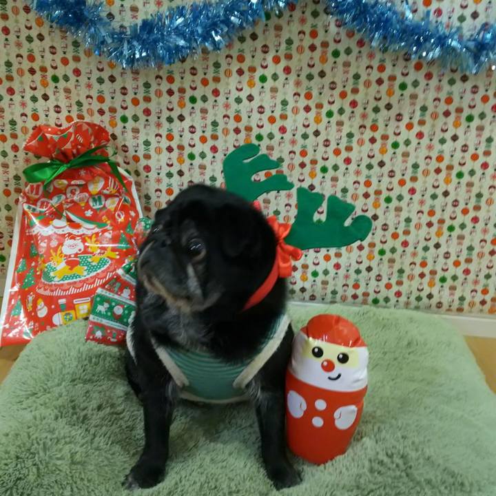 7f13b522 b104 4016 93a3 dc77c43e3176 1577152316575