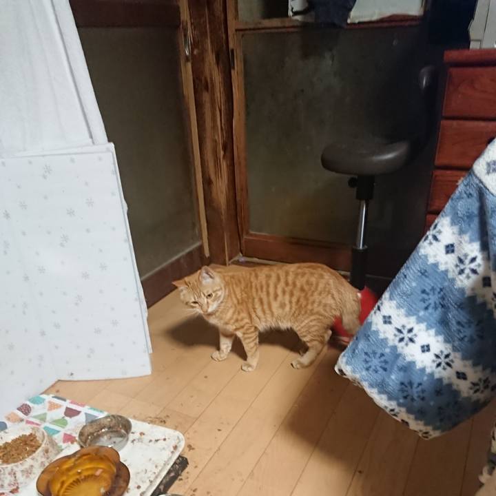 7f13cdfc 817e 4a9b 9cdd a8f6058678d5 1647442197877