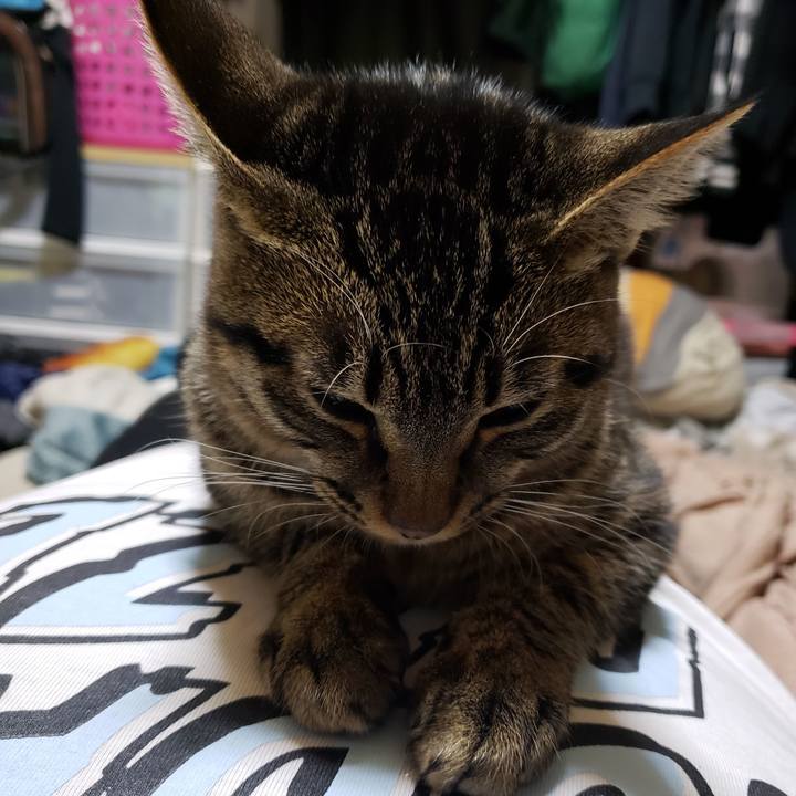 7f13e6e3 f70d 4390 a7a7 c9d66cec8f05 1547801956855