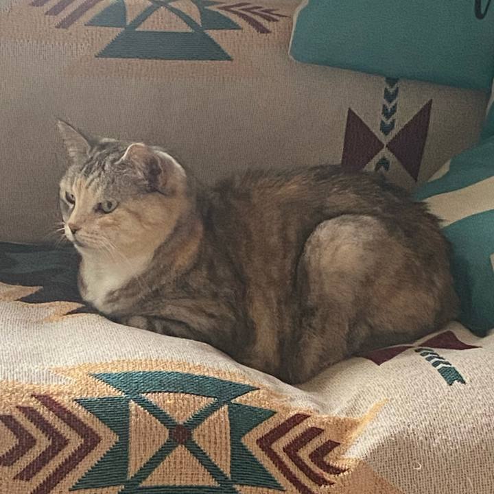 7f13fdd5 f409 4235 9683 9d73c15888a9 1716414770949