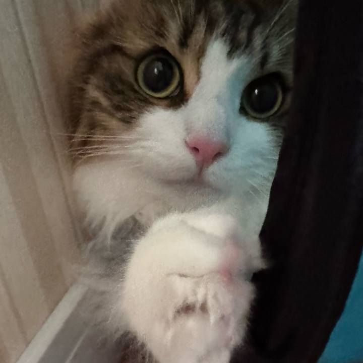 7f141bd3 7fd1 40df ae26 388aad70ce64 1770361311534