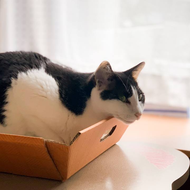 7f1463d3 d5ef 41c2 bb11 c405152d7ac0 1593050763839