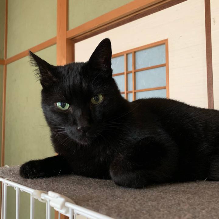 7f148f02 aac1 4458 a96a 885e12fcf023 1578964359582