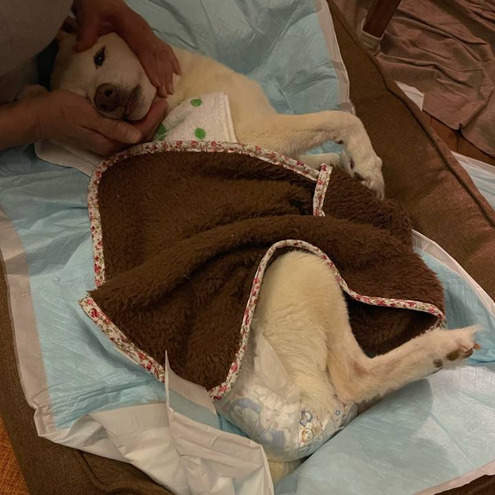 7f149c7a cd34 4f8b 9424 1b8094eb586b 1668426324921