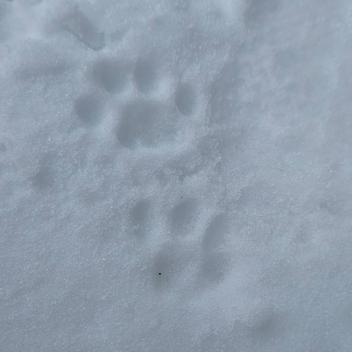 7f14a107 dd29 4db9 a726 8a364ba8f973 1706242162418