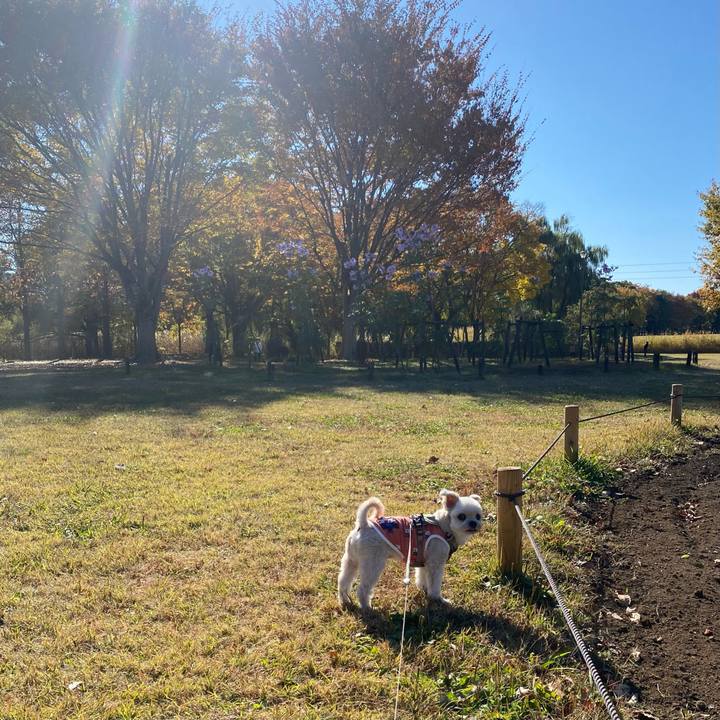 7f14a684 d3b0 4892 8f18 6f3b7963825e 1763802811778