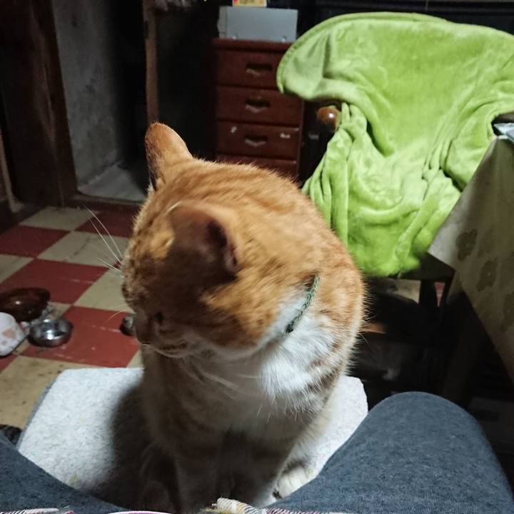 7f1539dc 2b31 4b17 80d4 4af28fcb47ae 1582920140389