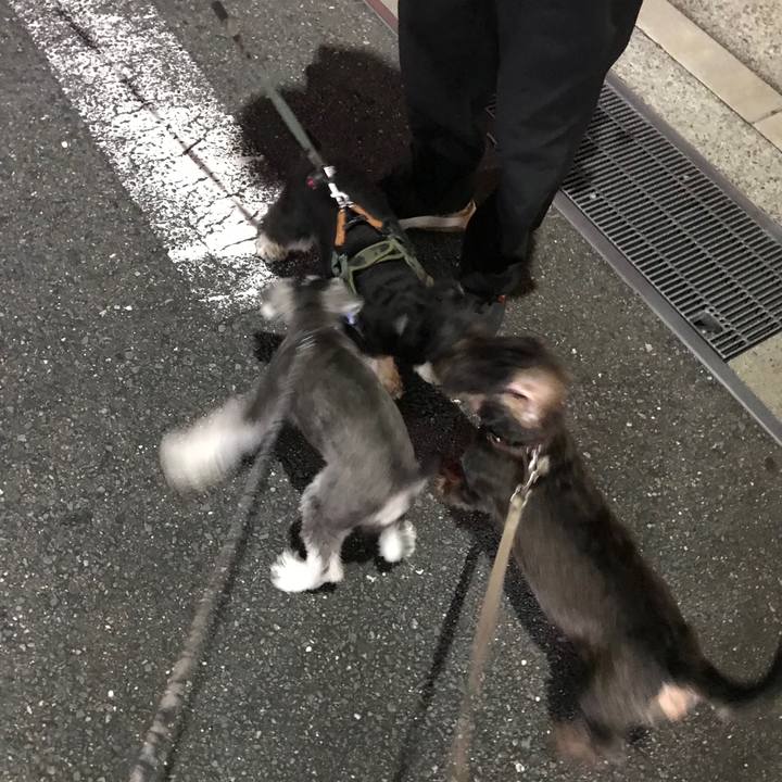 7f153d40 ab1d 4d13 9d67 5d7e833e7e60 1568296680123