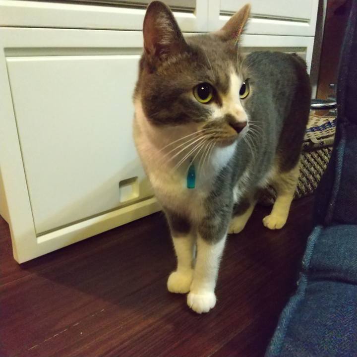 7f1569f0 0abf 4560 8afc 0a267978ad3c 1633609757012