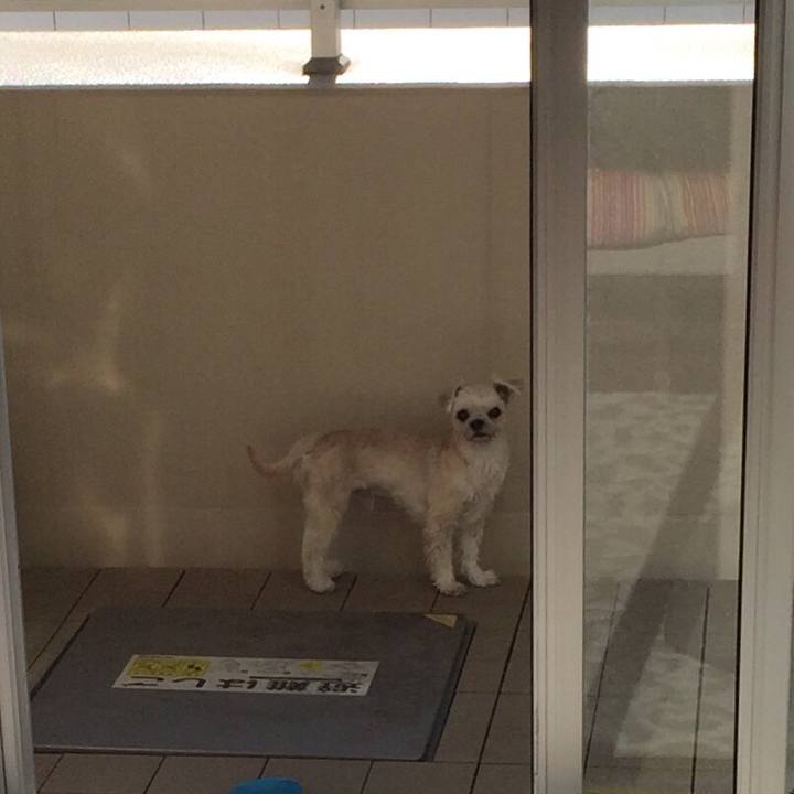 7f158ef3 c37e 465d 876b 830ad43a0c4c 1547949973987