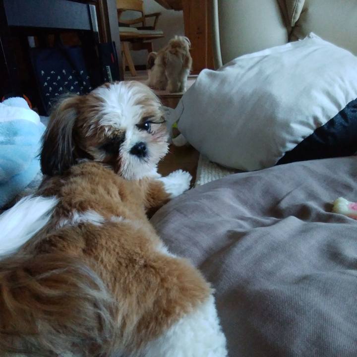 7f159c76 0912 4106 82a4 c58129ebbe44 1542673237984