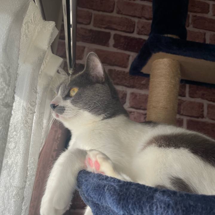 7f15a59e 81dc 43ab 865f 9854eaf5c9ff 1667690343927