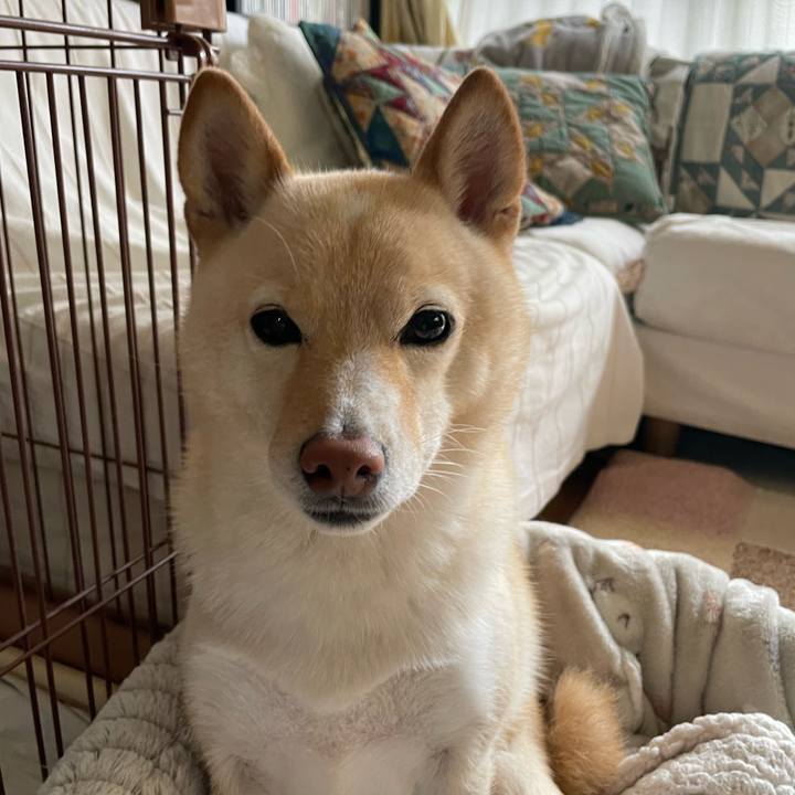 7f15f78c 1162 407b aebb dd7b75bd8a95 1667087523318