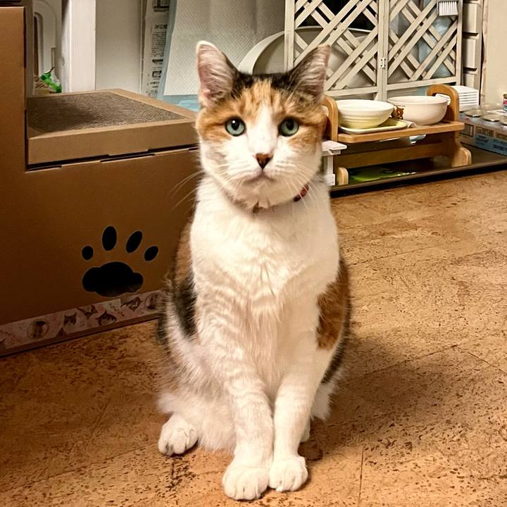 7f160ac3 9bef 499d 8cd0 fa3a738e00c5 1696456058964