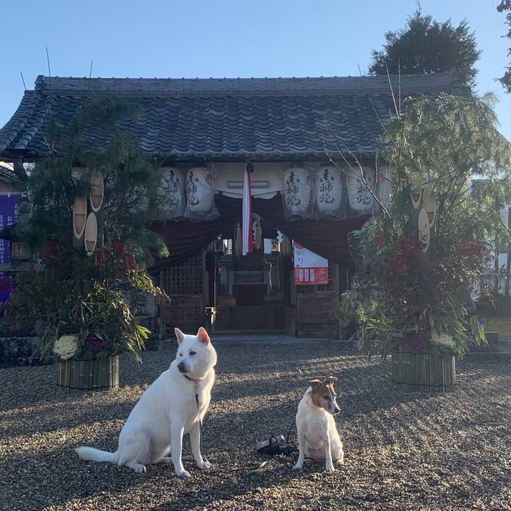 7f163098 2672 44d9 abf7 63db88df1b8b 1546301345777