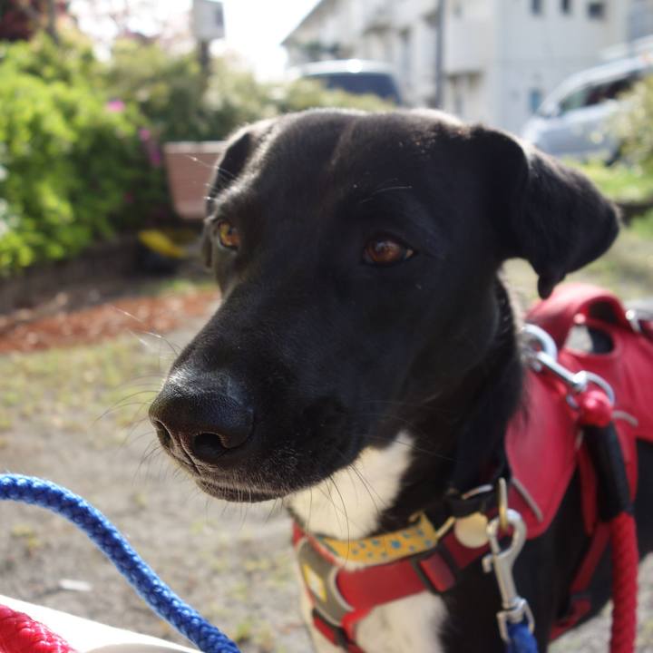 7f16418b 8e23 40b5 ad21 632559a47bbf 1587515982890