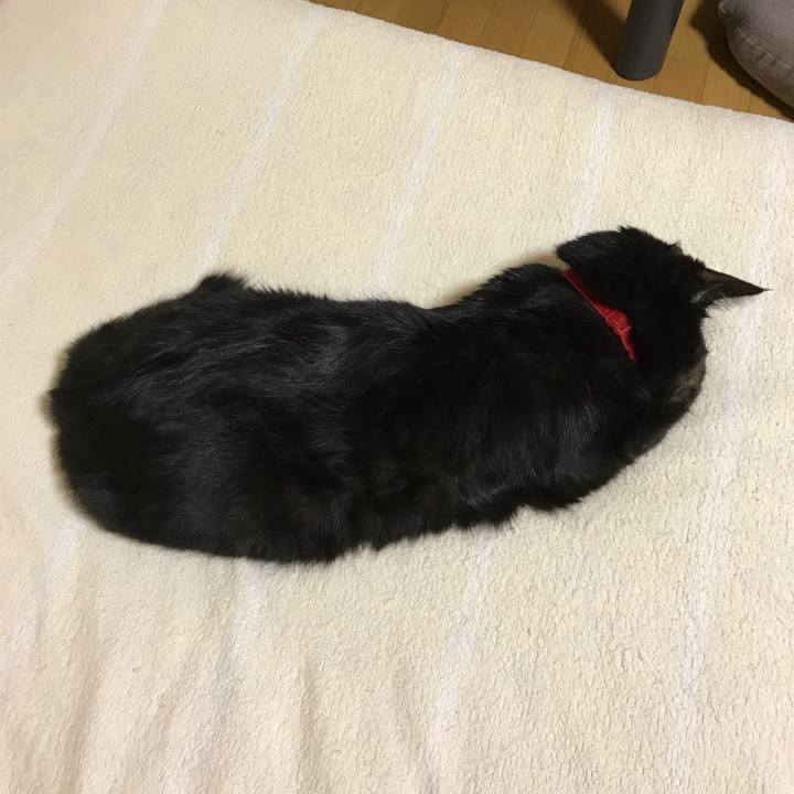 7f166018 337d 4e7f b431 4e2eaecb5fa3 1539308993490