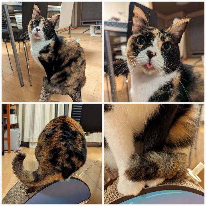 7f168c33 4091 477a a33e 58eb441b444f 1706846968834