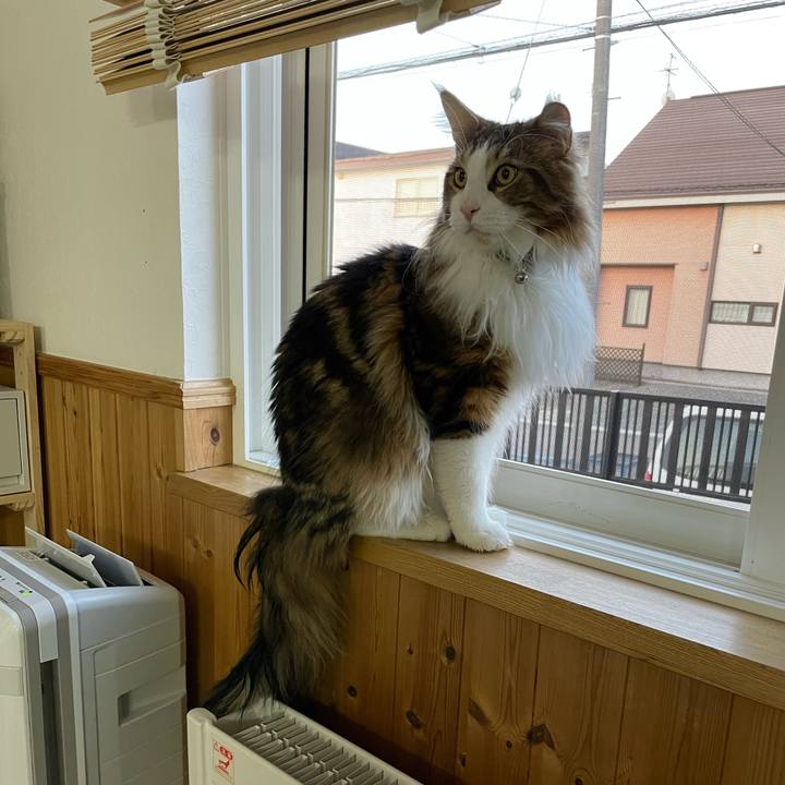 7f16ab9f 41f8 4d02 91bb 6ac0bdaf34ac 1649880716068