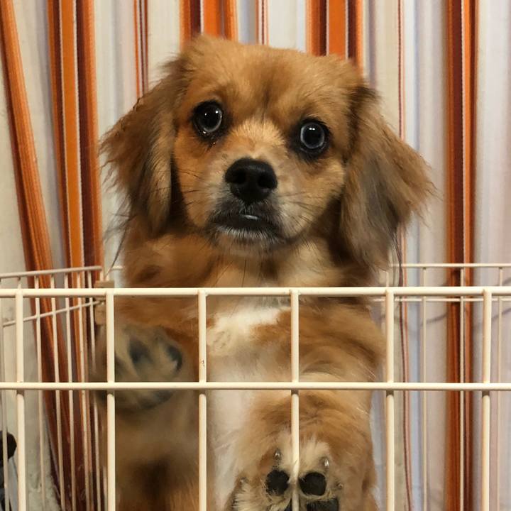 7f16b28e 314d 40d6 be3c 1f81df8035ec 1508362587934