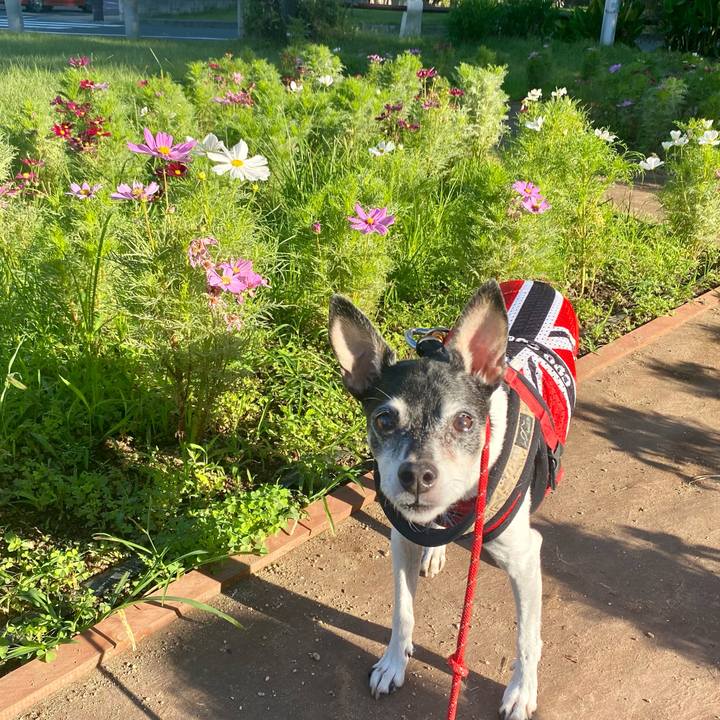 7f16b59f 7a4d 4b5f a7b1 053b3eab0166 1633825622390