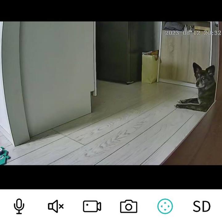 7f16ba2e 5e84 4079 a167 50f842d3502d 1691881921022