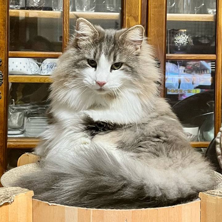 7f16fad9 2255 4278 81ef 2ae30587c512 1670925756755