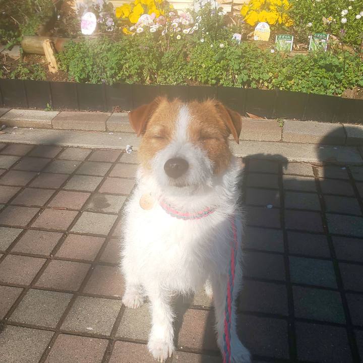 7f178cf2 0415 47e1 a7ad 51c8ac78cb1a 1585094568633