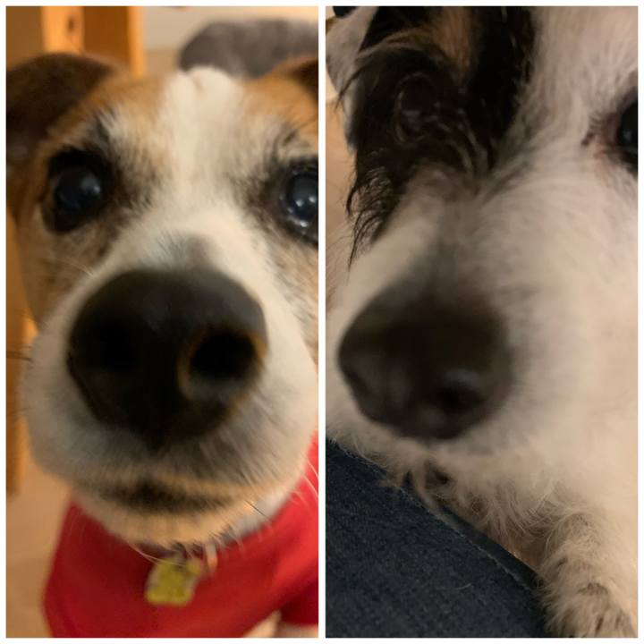 7f17bc50 7017 48e5 a40b 63b63dad5faa 1585219965583