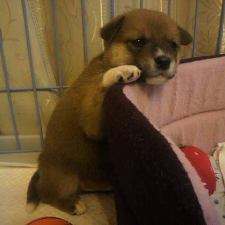 7f180a38 d489 47b3 88ba 9def24051f0f 1549457742142