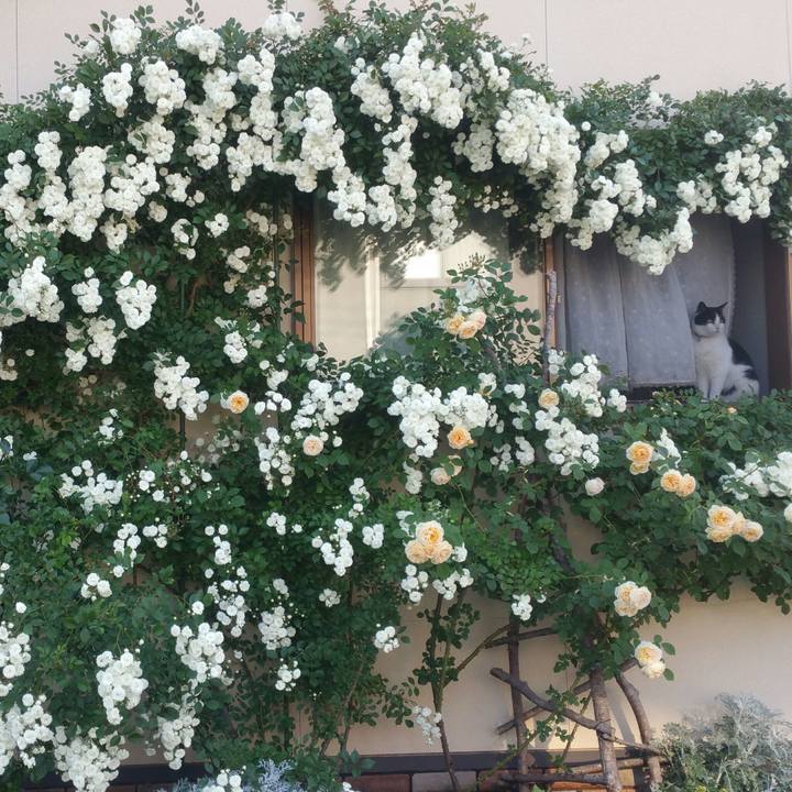 7f183eb9 13ba 4c8c 95a9 72ef77aa3757 1559635471097