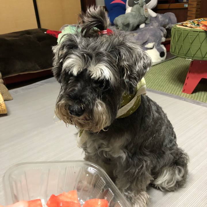 7f1878ce 6c21 4361 8767 2d1aa4929ff0 1564918921123