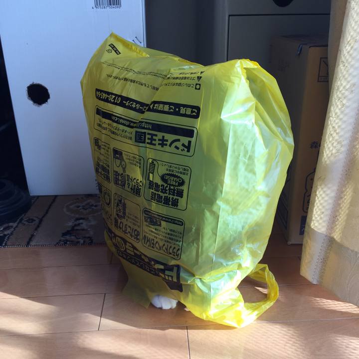 7f18860a c3d2 4707 b3b1 9a63b5266dbb 1507846132926