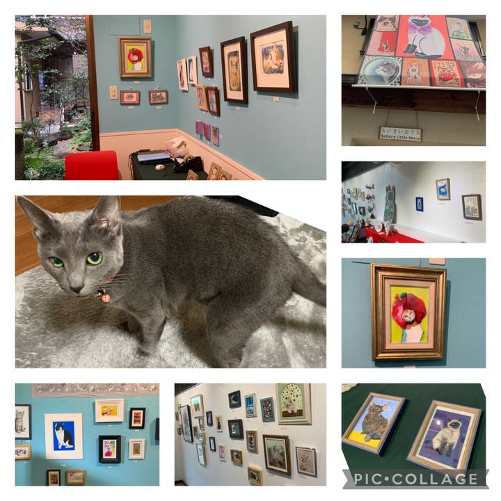 7f1886c7 a74c 4c08 9fec 8471bb1a2ee5 1615881426295