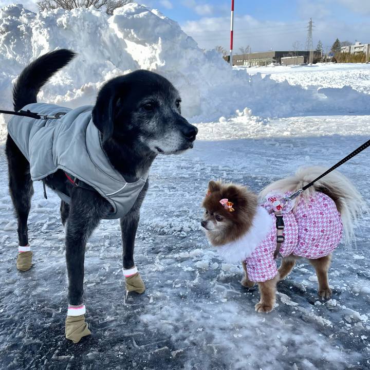 7f189f43 ecc1 4394 8aca d4540f08cb95 1765940537934