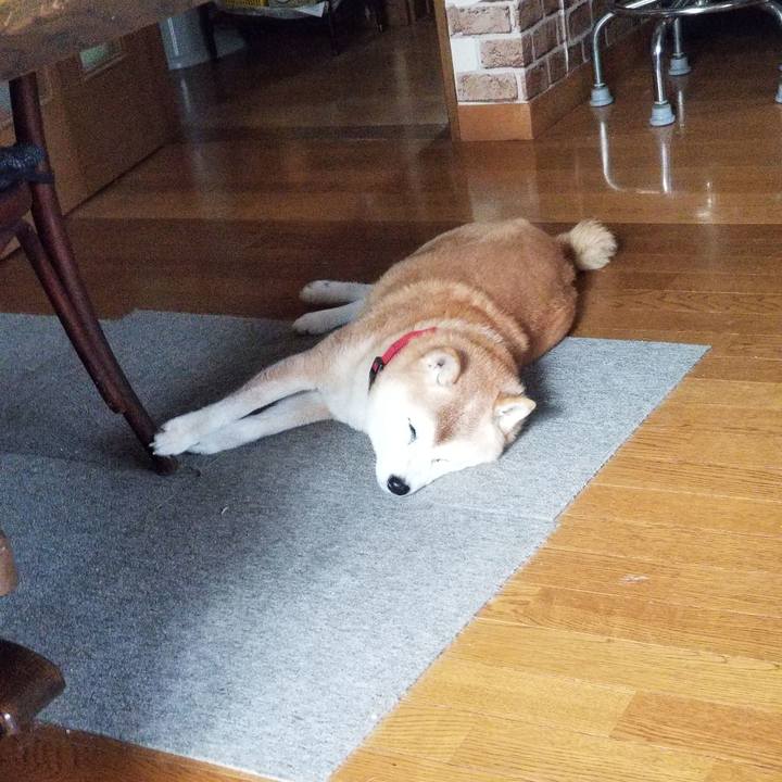 7f18b067 1f05 4ead aa58 4cb0ce9e7119 1734057812869