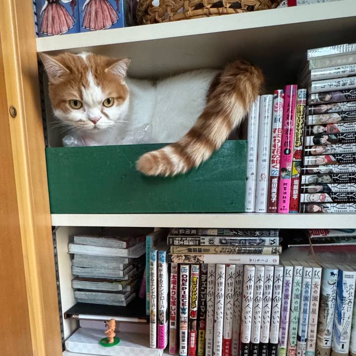 7f18f961 12d9 4d2a b9c4 142dd45058c9 1774355651732