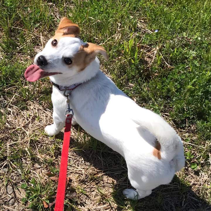 7f190193 2a83 40ab b7e3 97cb1d1faa1e 1552296268915