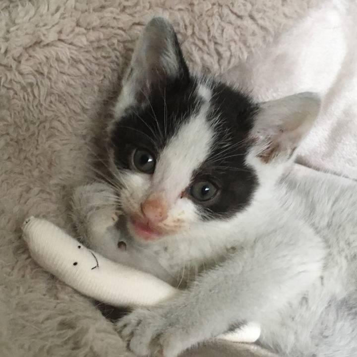 7f191ffd 4e8a 441d a7e1 03c19ce89282 1623971094749