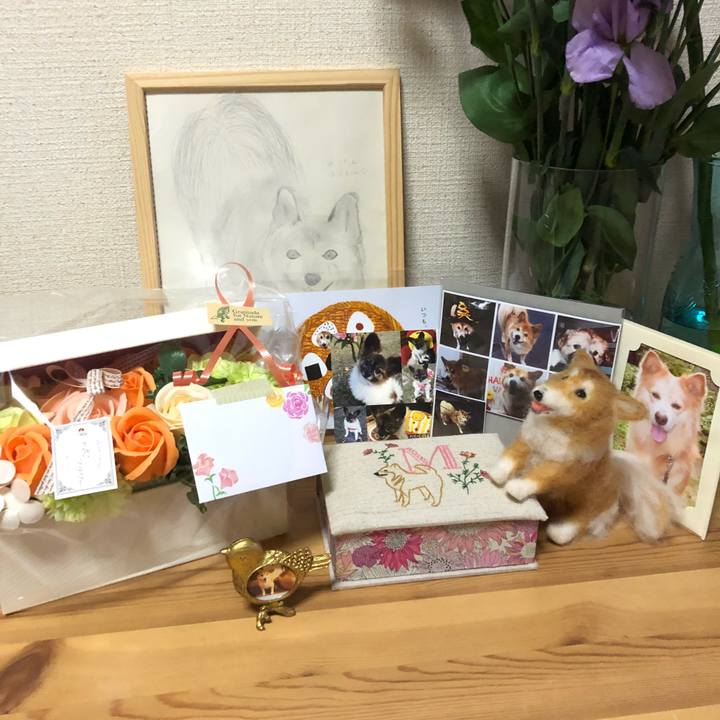 7f193283 58f4 4dde 95ef fbe752a90904 1537793695397